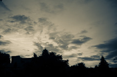 Evening Glow