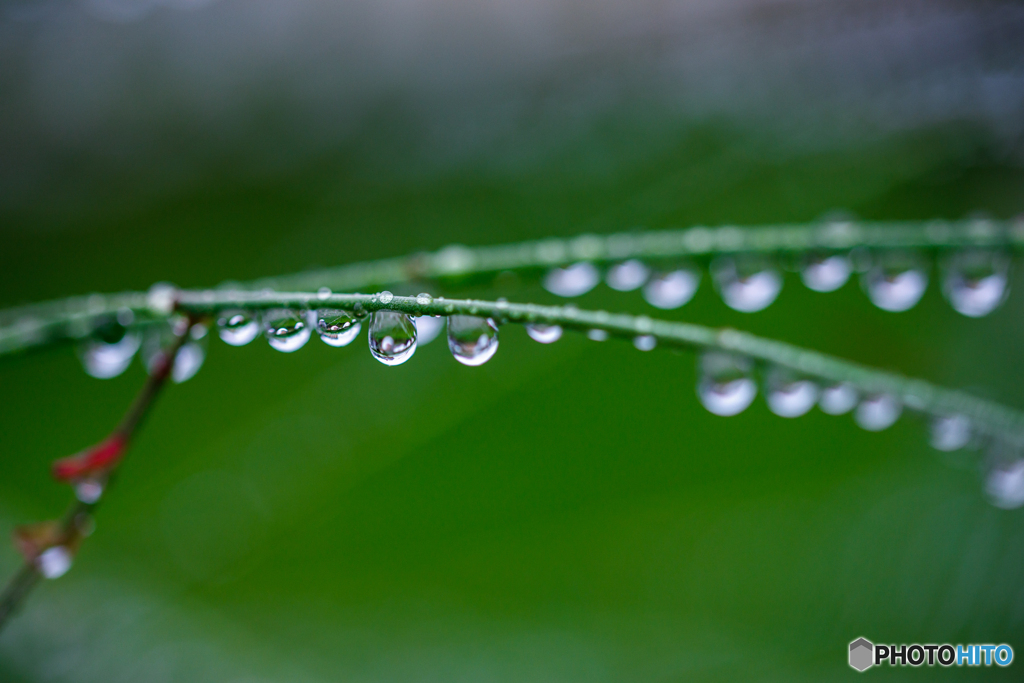 雨上がり