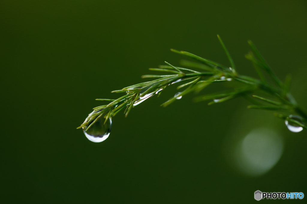雨上がり