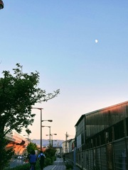 家路