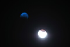 Moon XX
