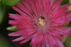 DSC_3441 (2)