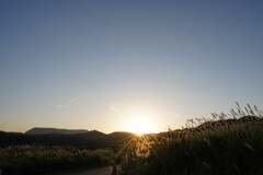 平尾台とススキと日没