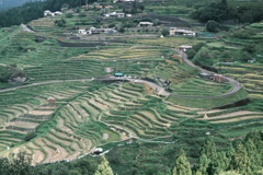 丸山千枚田
