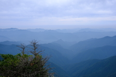 9C0273F3-413F-4F3F-A5F1-AAE3CCD5FF0E-956