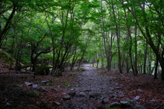 八経ヶ岳登山入口