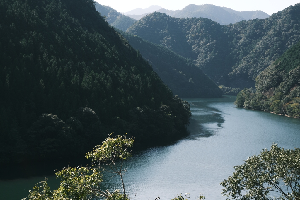 散歩写真