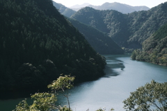 散歩写真