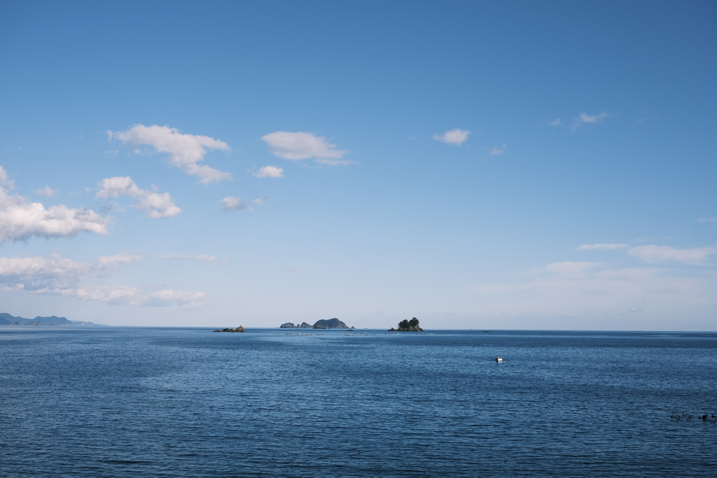 海