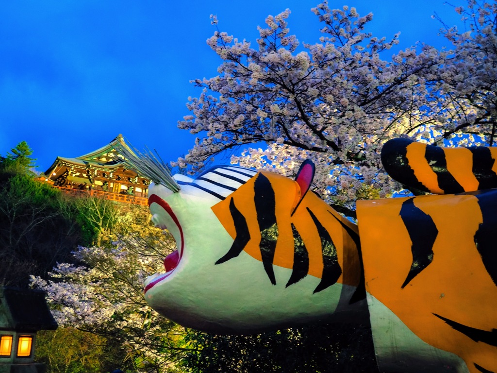 信貴山と虎
