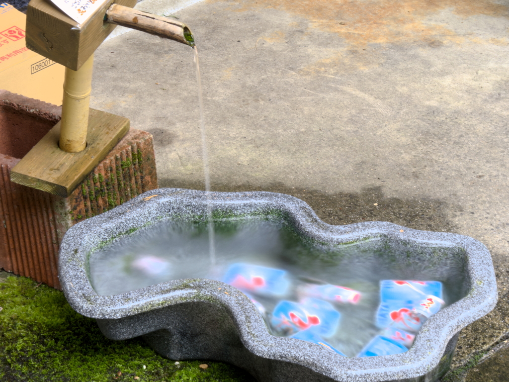 涼を求めて