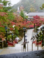 雨の信貴山4