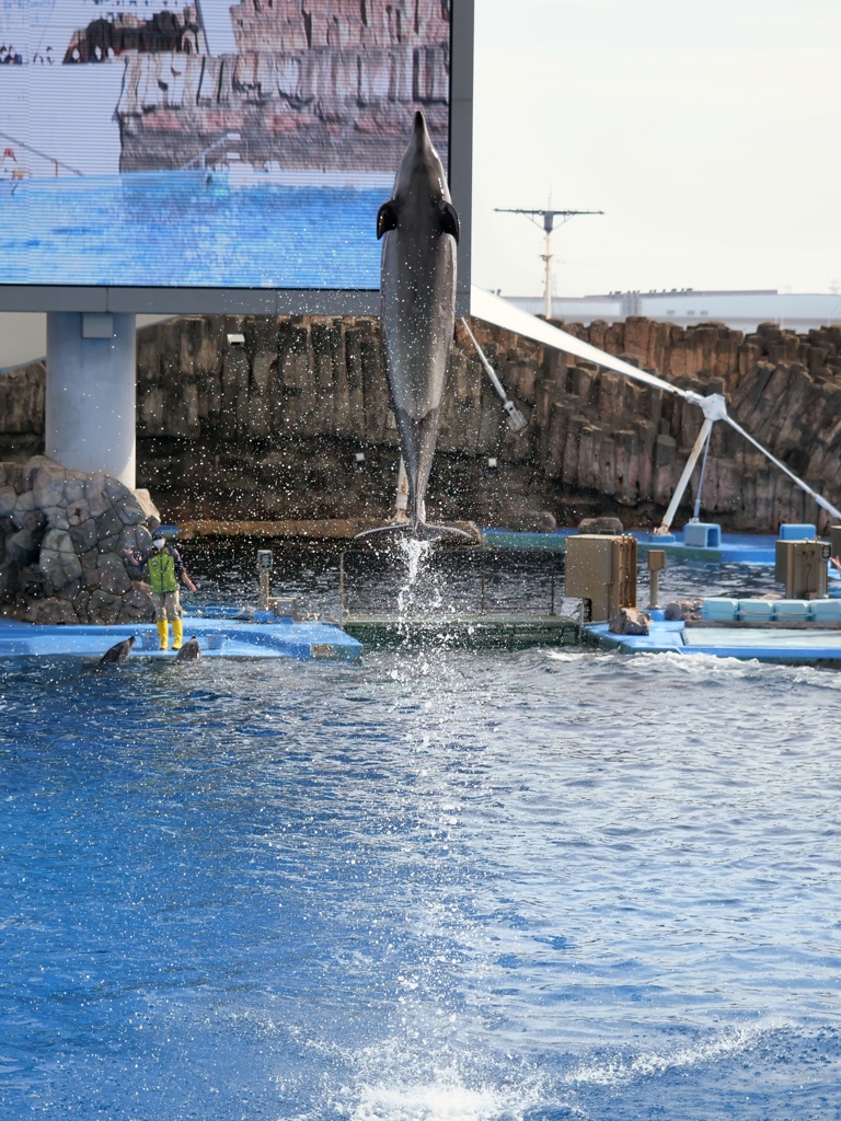 大ジャンプ