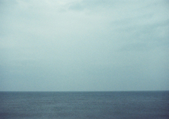 海