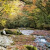 紅葉と渓谷