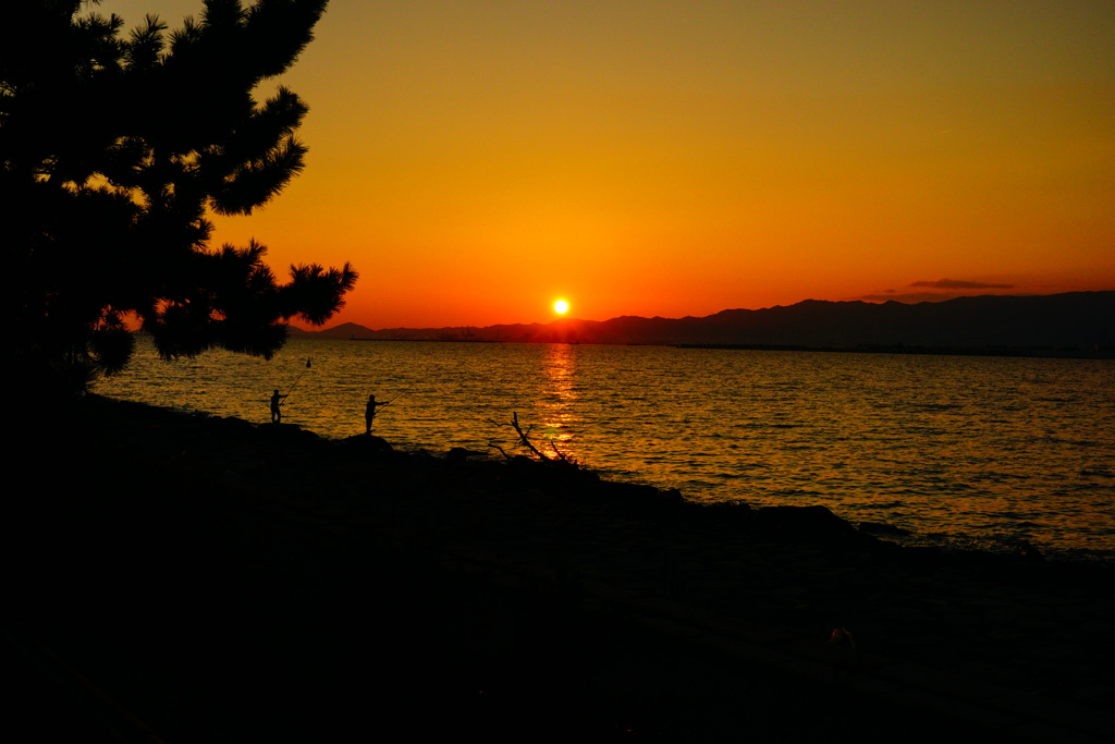 夕日