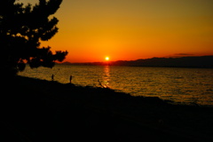 夕日