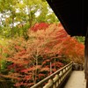 四條畷神社