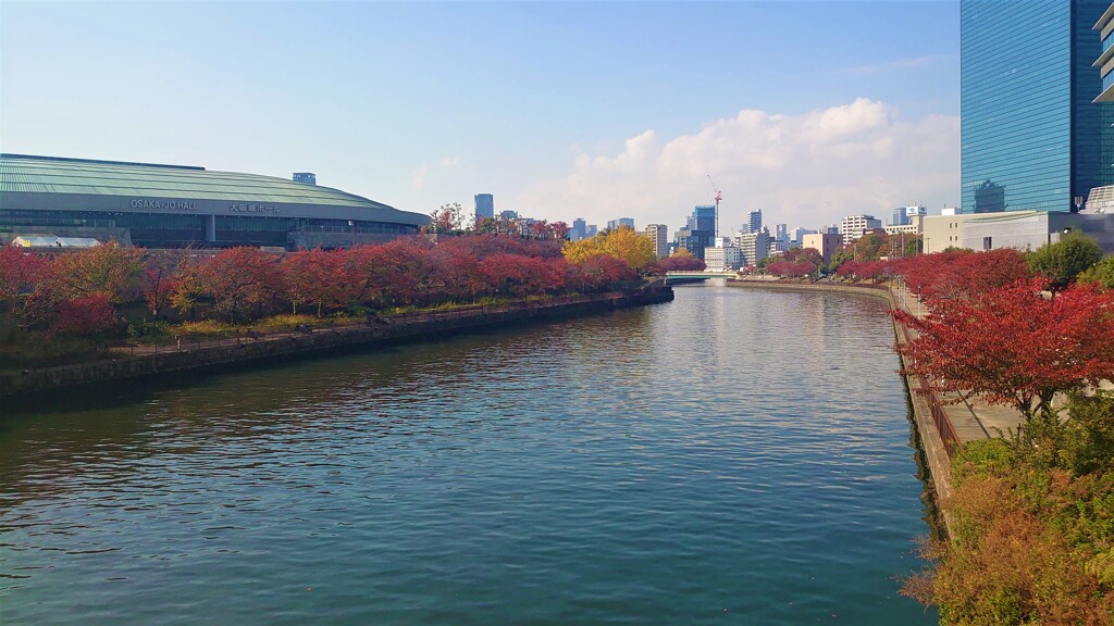 大阪城公園紅葉