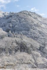 岐阜の雪景