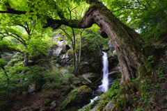 9B59DD2E-41CD-4CB7-9F6A-F59B881D611E