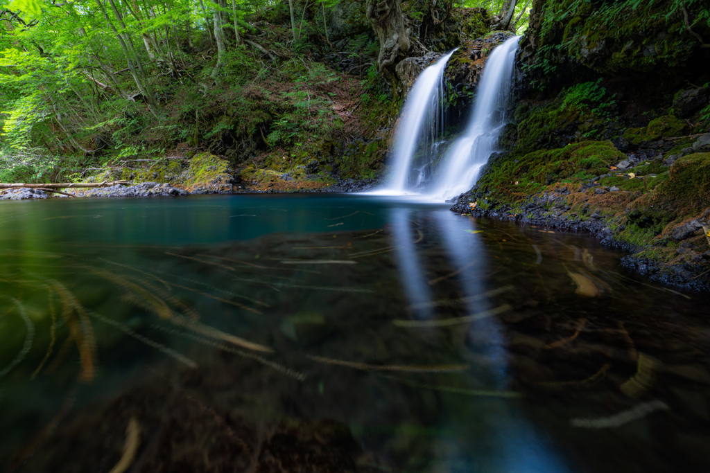 08C3B165-67F1-4571-8746-D1DA0FD30EDA