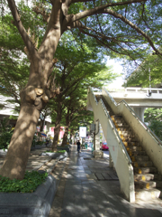 バンコク街ブラ撮影。明暗を写したくて。