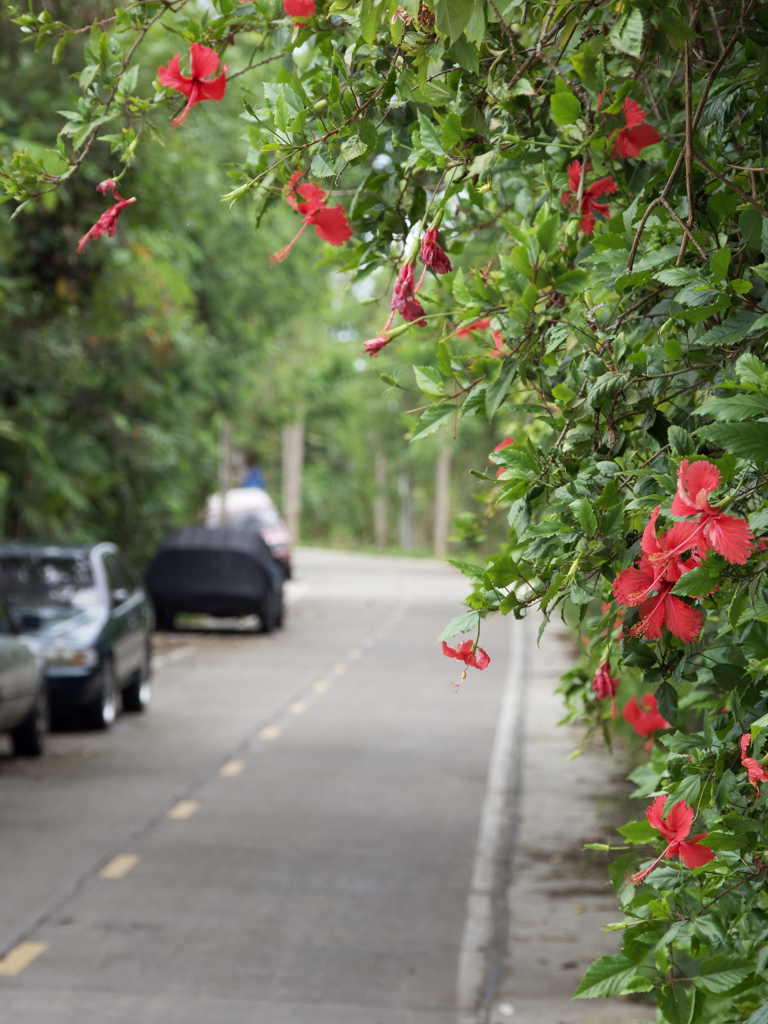 君の名は。。。