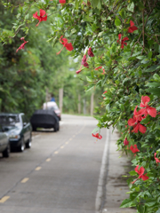 君の名は。。。