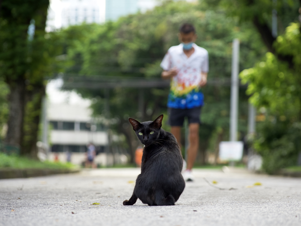 振り返り美人。