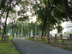 S字路とベンチ。