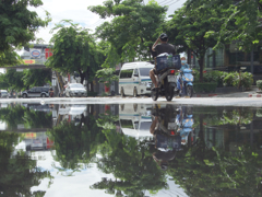 撮ってみたかった！水溜りのこれ！