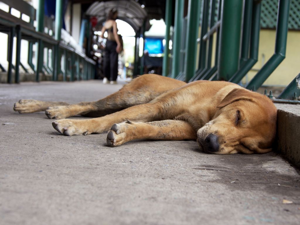 よく食べよく寝る。