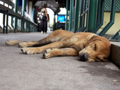 よく食べよく寝る。