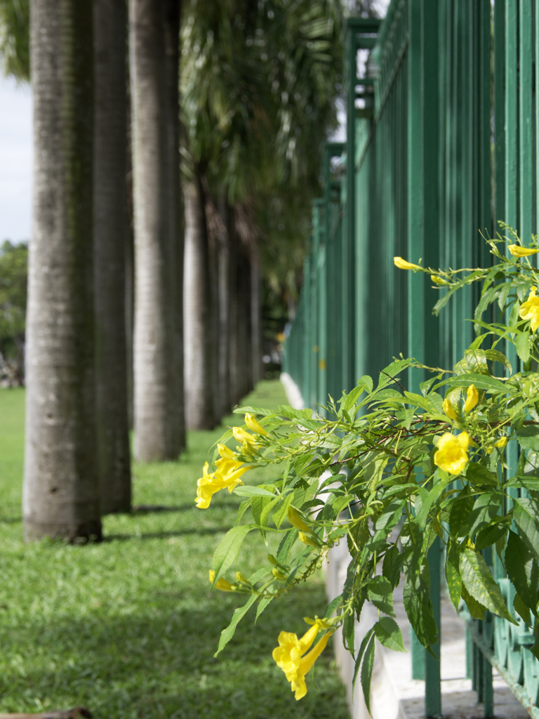 出過ぎた釘は打たれない。