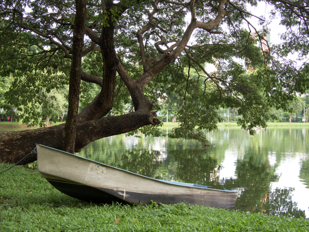 現役のボートですよ。