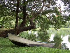 現役のボートですよ。