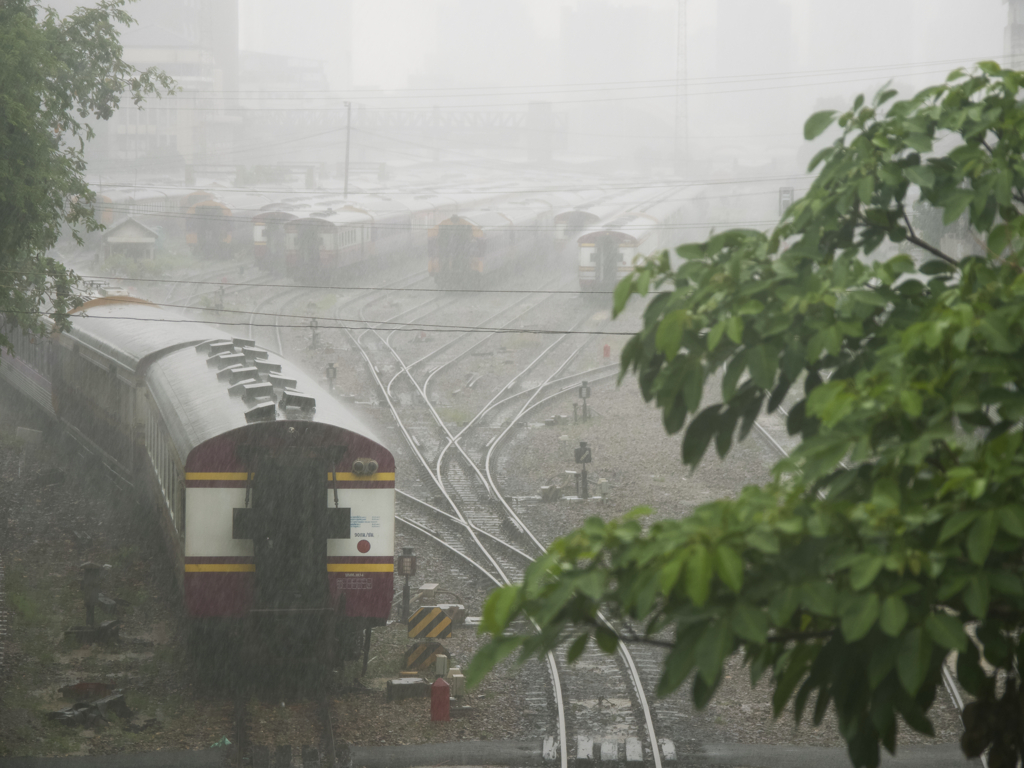 ファランボーン中央駅。ここから始まります。