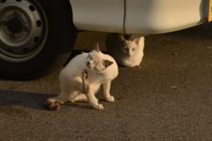 警戒中その３