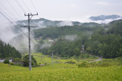 千枚田にて