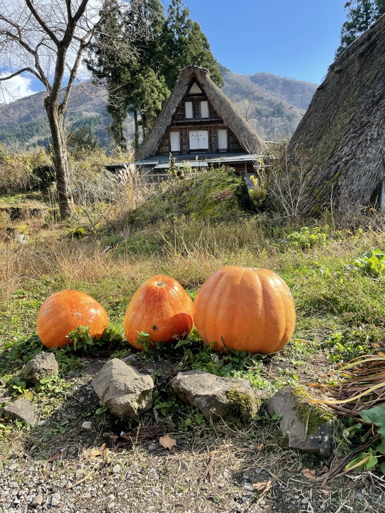 五箇山の秋