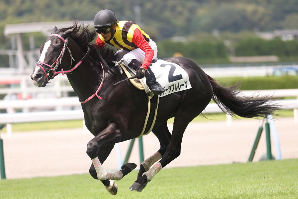 リバーシブルレーン 2022/8/13 小倉4R 勝ち馬 その1