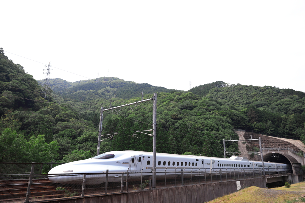 撮り鉄さんの気持ち、分かった