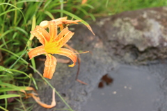 雨上がり