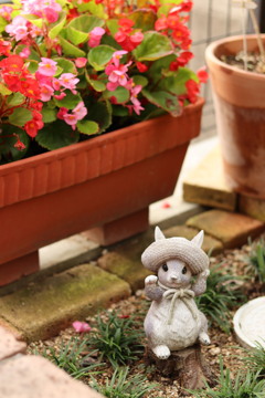 庭の住人