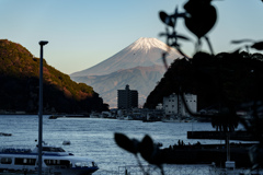 窓から見た早朝の景色