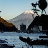 窓から見た早朝の景色