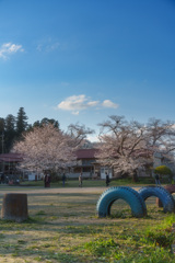 今年もただいま