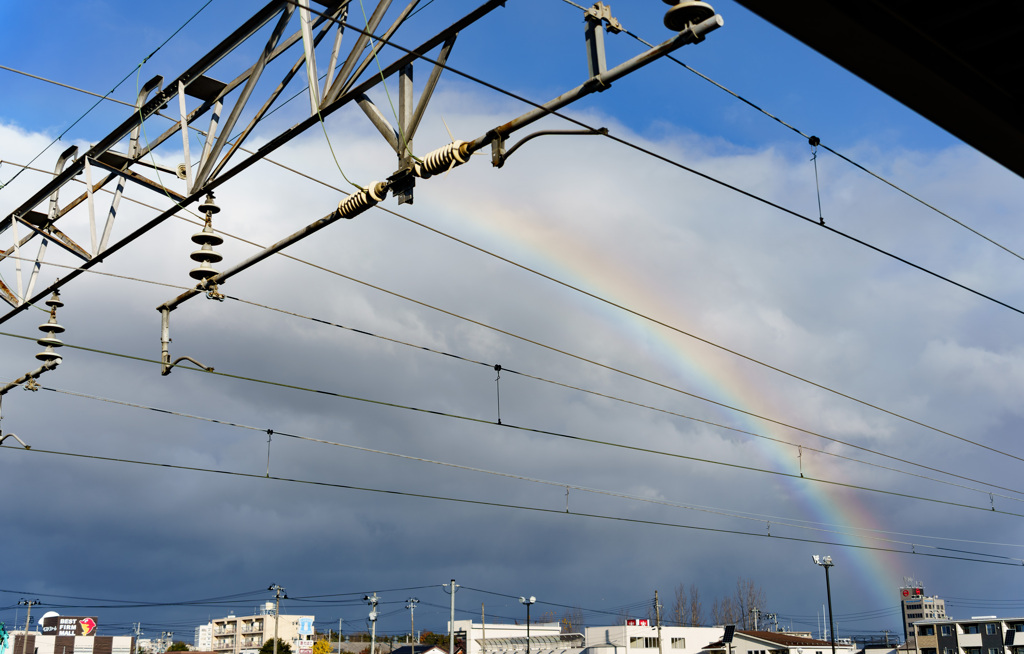 今日の旅はいい出会いがありそうだ
