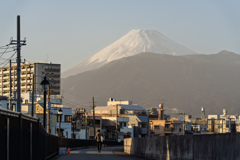 ゆっくり時が過ぎてく散歩道